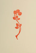 Letterpress Card- Red Rose on Ivory Linen- Blank Inside A2