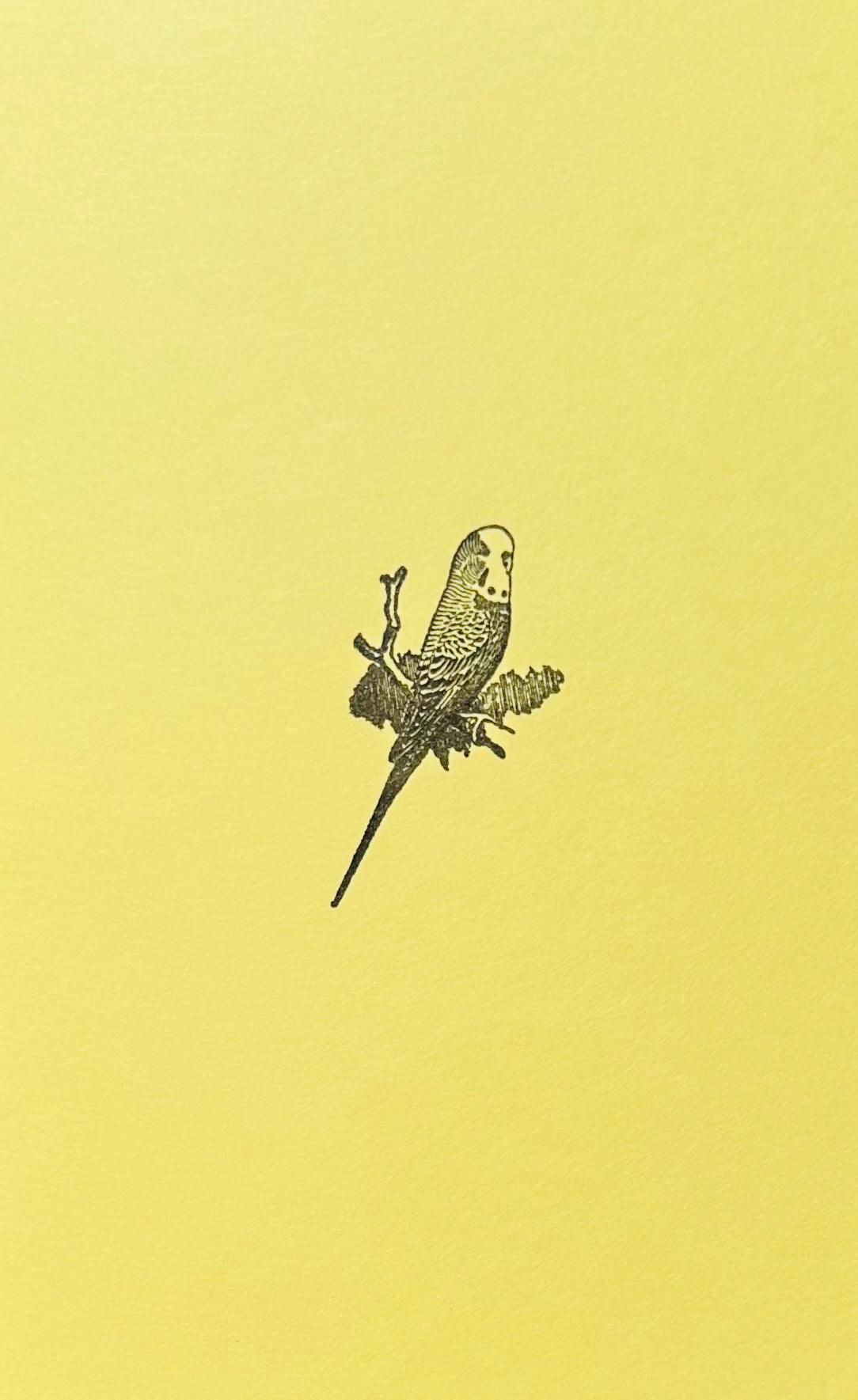 Letterpress Card- Parakeet/Budgie Bird- Blank Inside