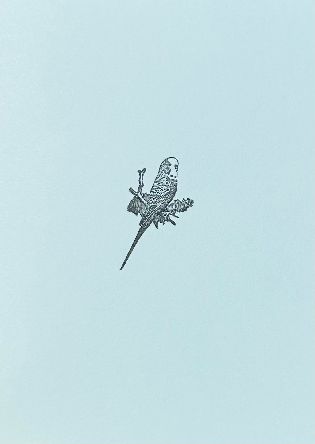 Letterpress Card- Parakeet/Budgie Bird- Blank Inside