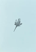 Letterpress Card- Parakeet/Budgie Bird- Blank Inside