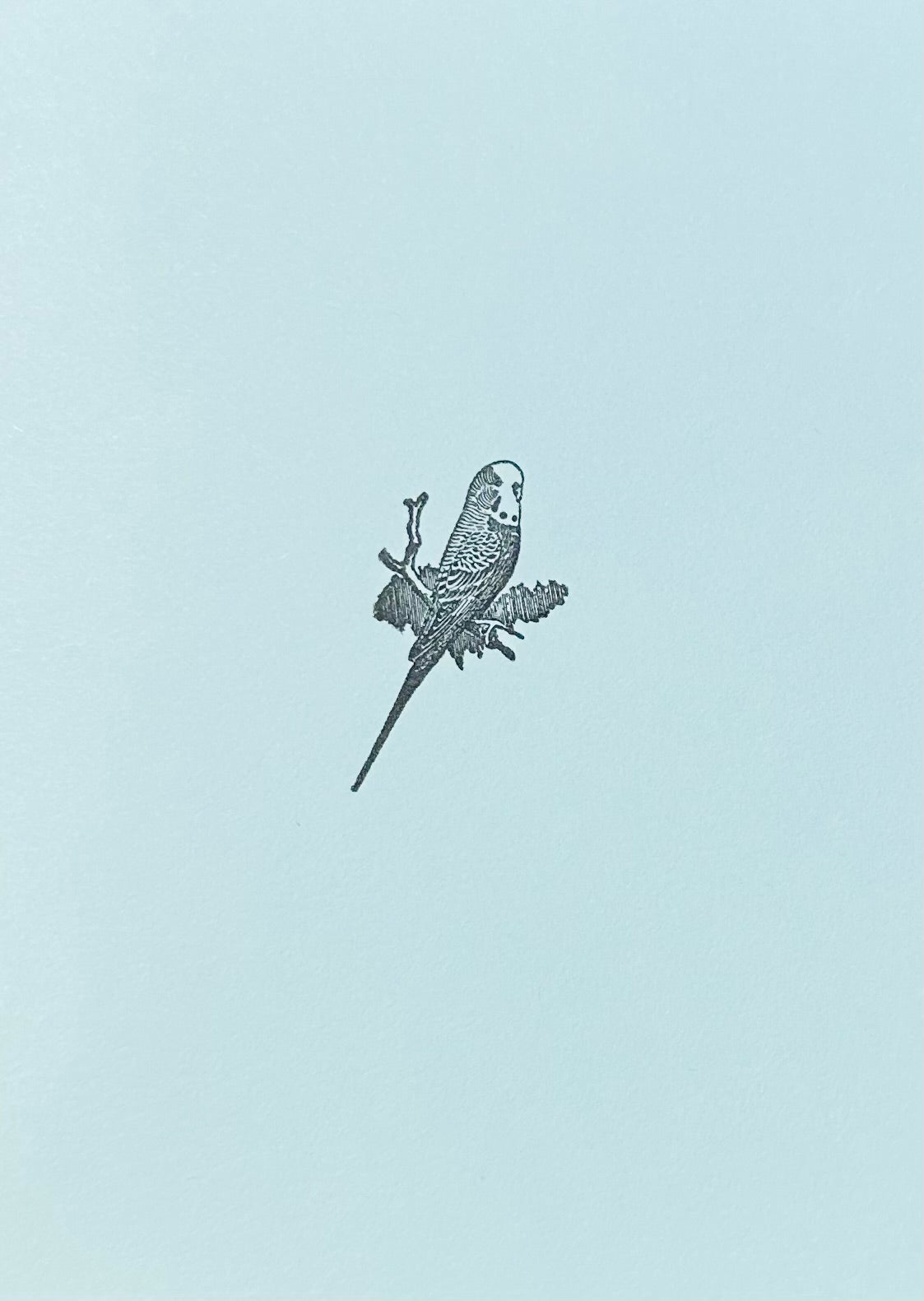 Letterpress Card- Parakeet/Budgie Bird- Blank Inside