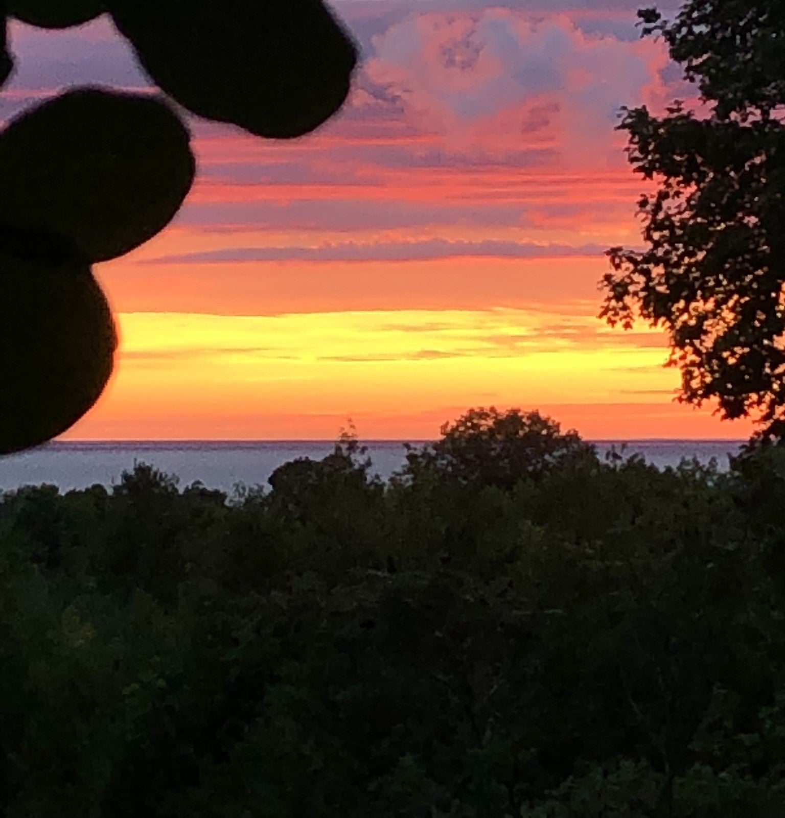 Moth & Rust Printworks